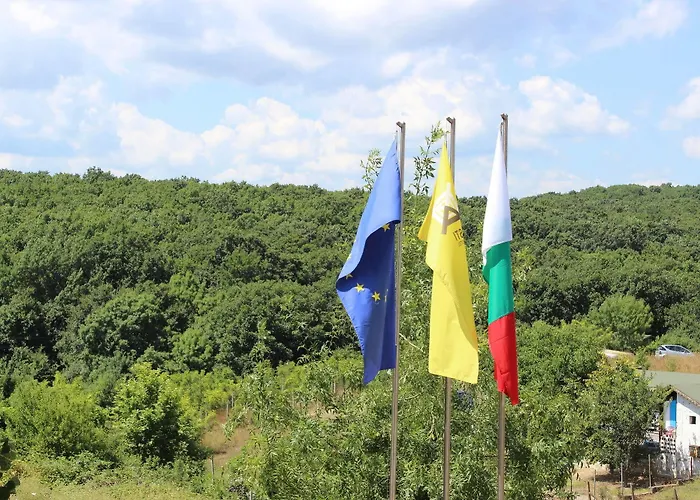 阿斯提艺术酒店 3* 辛尼莫雷特