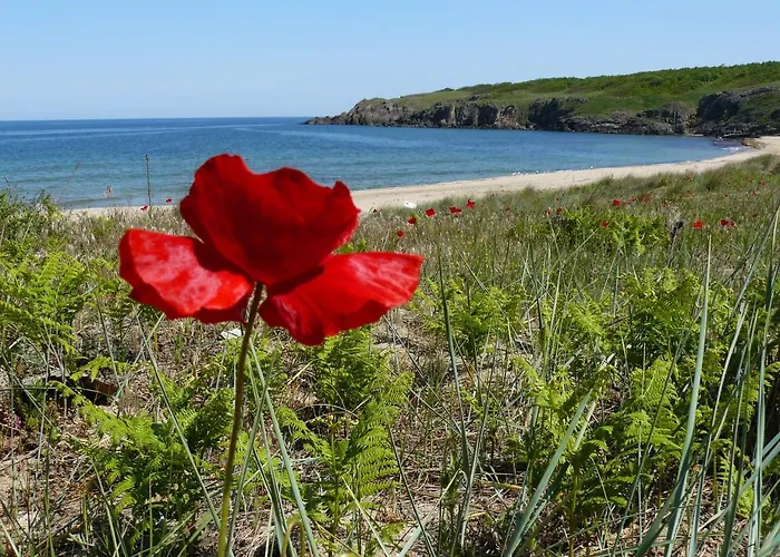 阿斯提艺术酒店