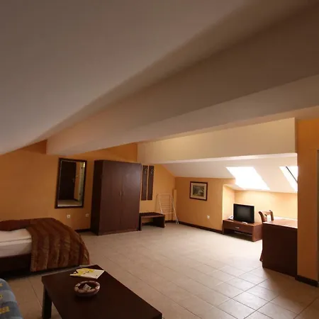 Asti Arthotel 3* Sinemoretz